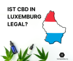 Ist CBD in Luxemburg legal?