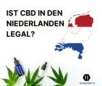 Ist CBD in den Niederlanden legal?