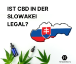 Ist CBD in der Slowakei legal?