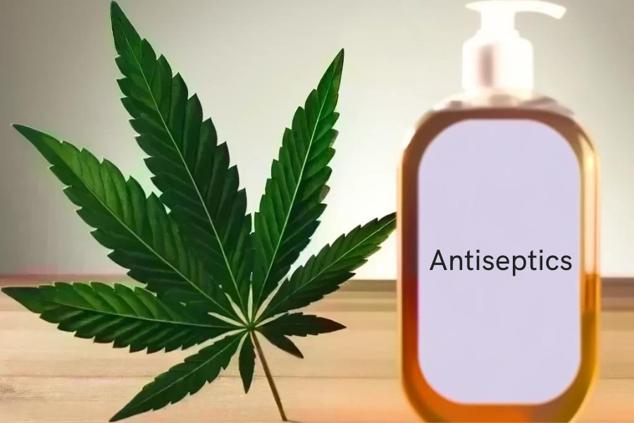 Cannabis and Antiseptics (e.g. Hibiclens, Peride, Chlorhexamed, Corsodyl)