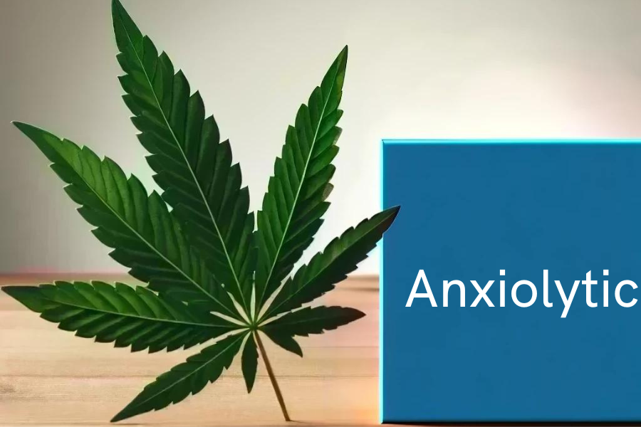 Cannabis and Anxiolytics (e.g. Diazepam, Lorazepam)