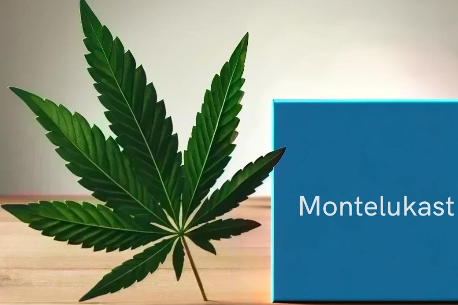 Cannabis and Montelukast (e.g. Singulair, Montelukast-ratiopharm)