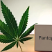 an image showing the interaction between cannabis and pantoprazole