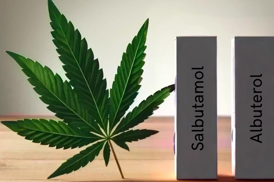 Cannabis and Salbutamol/Albuterol (e.g. Ventolin, ProAir, Ventolin, SalbuHEXAL, Sultanol)