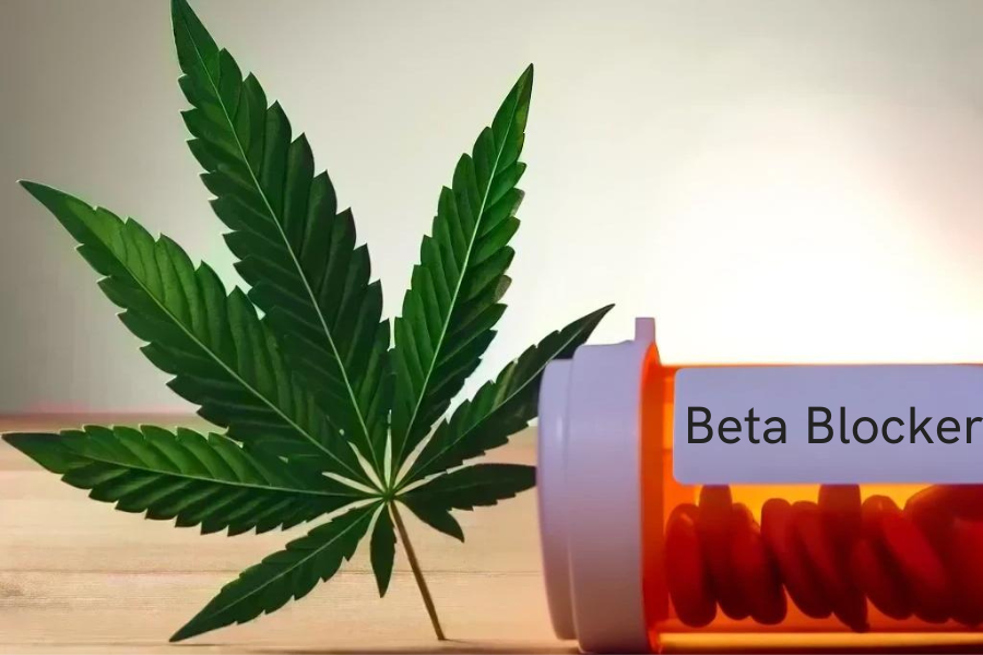 Cannabis and beta blockers (e.g. Concor, Bisoprolol, Atenolol, Tenormin)