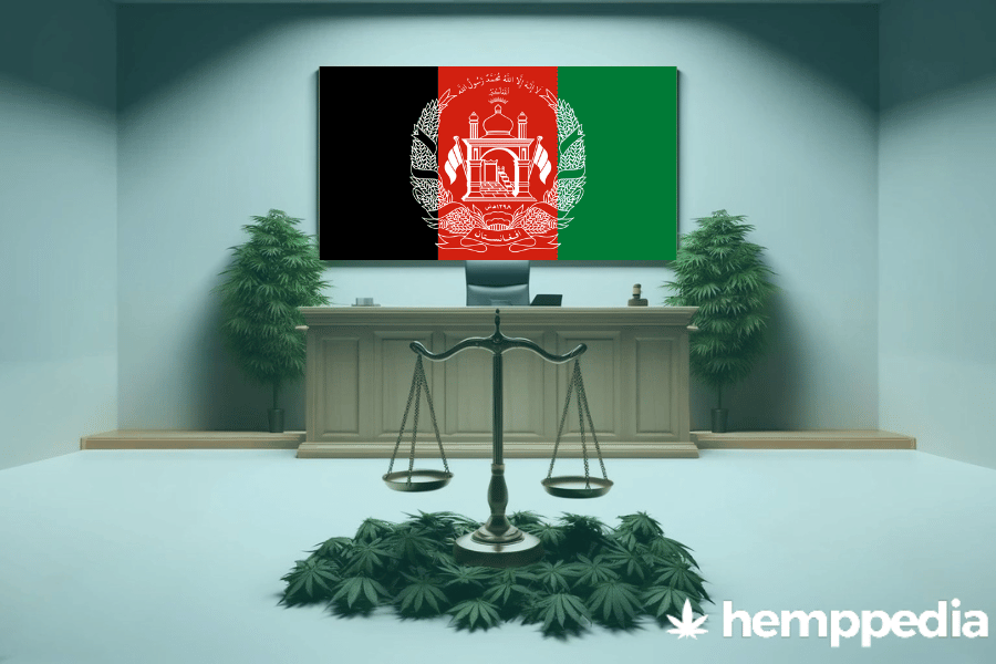 Is CBD legal in Afghanistan? – Update 2024