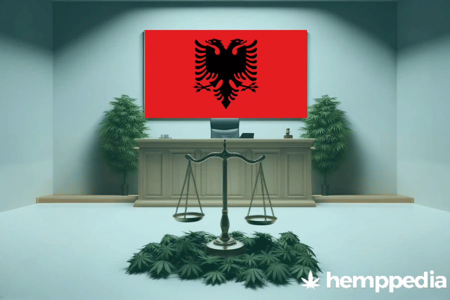 Is Cannabis legal in Albania? – Update 2024