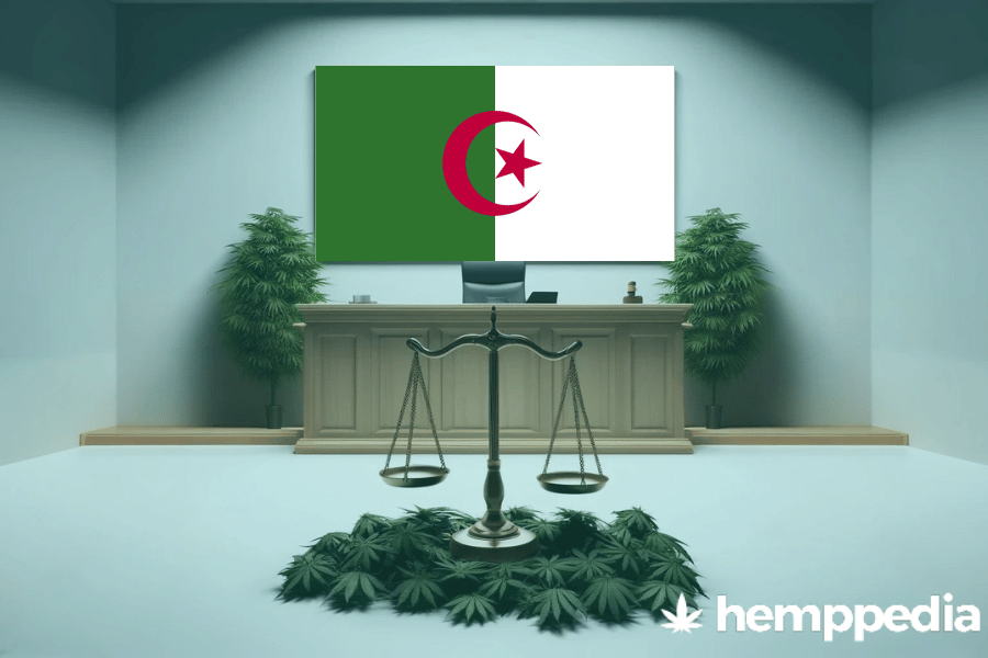 Is CBD legal in Algeria? – Update 2024