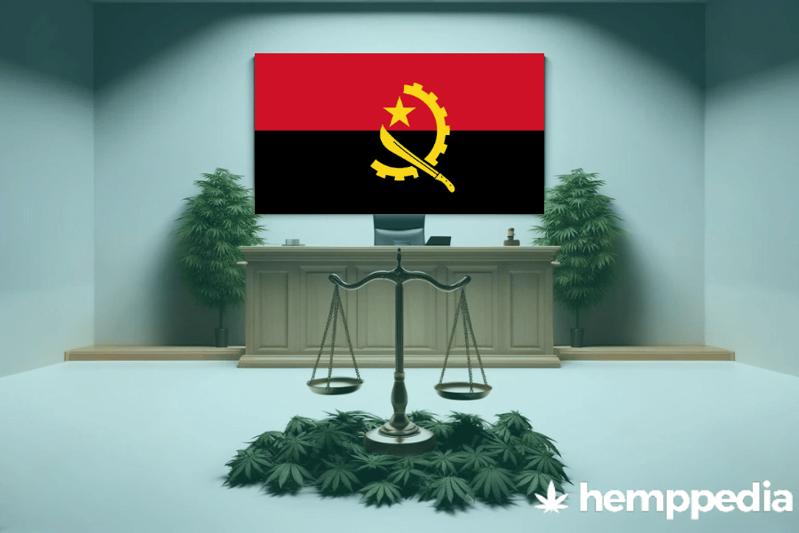 Is Cannabis legal in Angola? – Update 2024