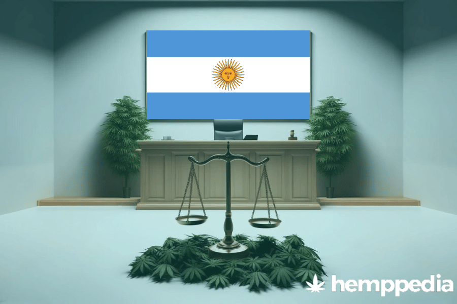 Is Cannabis legal in Argentina? – Update 2024