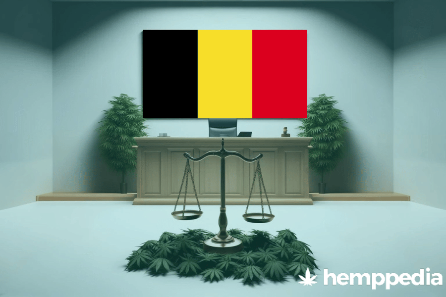 Is Cannabis legal in Belgium? – Update 2024