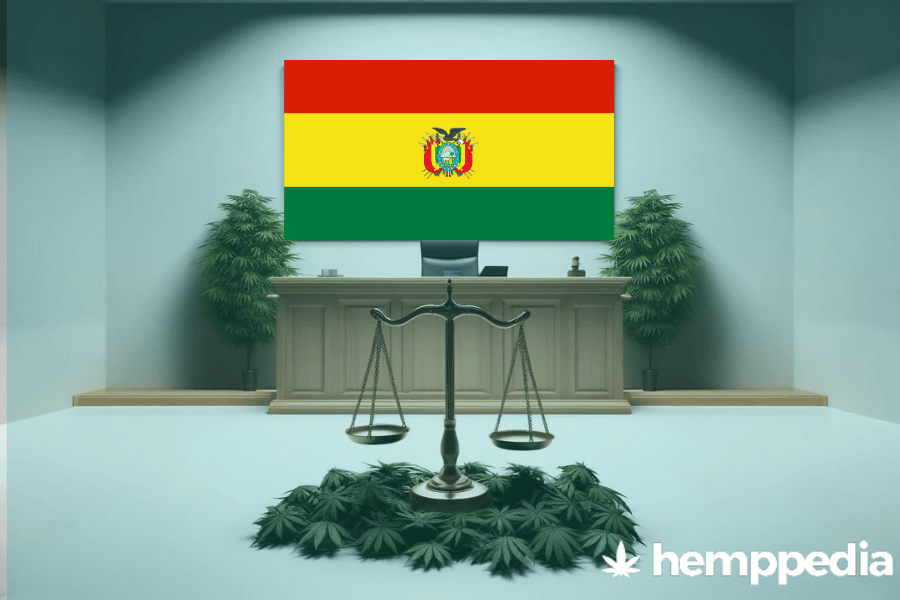 Is Cannabis legal in Bolivia? – Update 2024