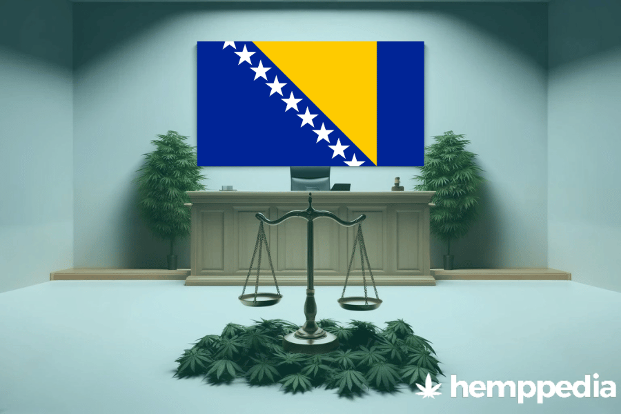 Is CBD legal in Bosnia and Herzegovina? – Update 2024