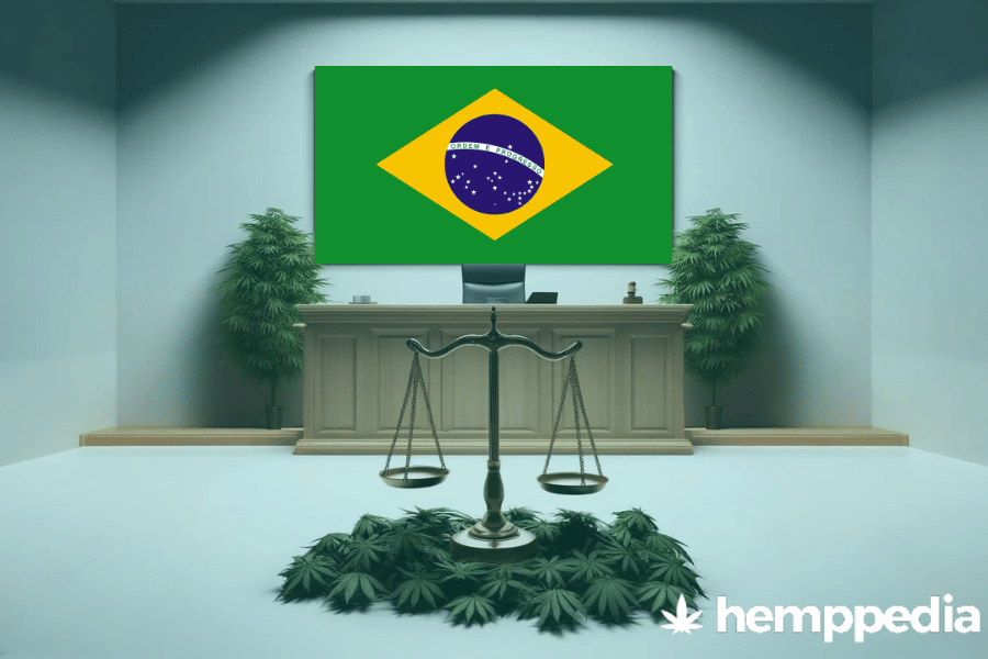Is Cannabis legal in Brazil? – Update 2024
