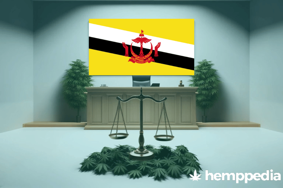 Is Cannabis legal in Brunei? – Update 2024