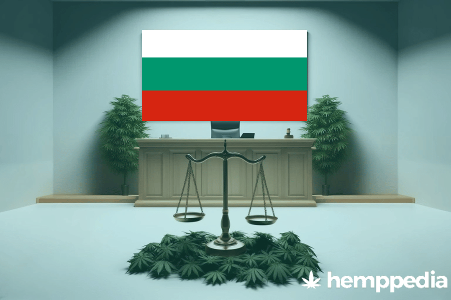 Is Cannabis legal in Bulgaria? – Update 2024