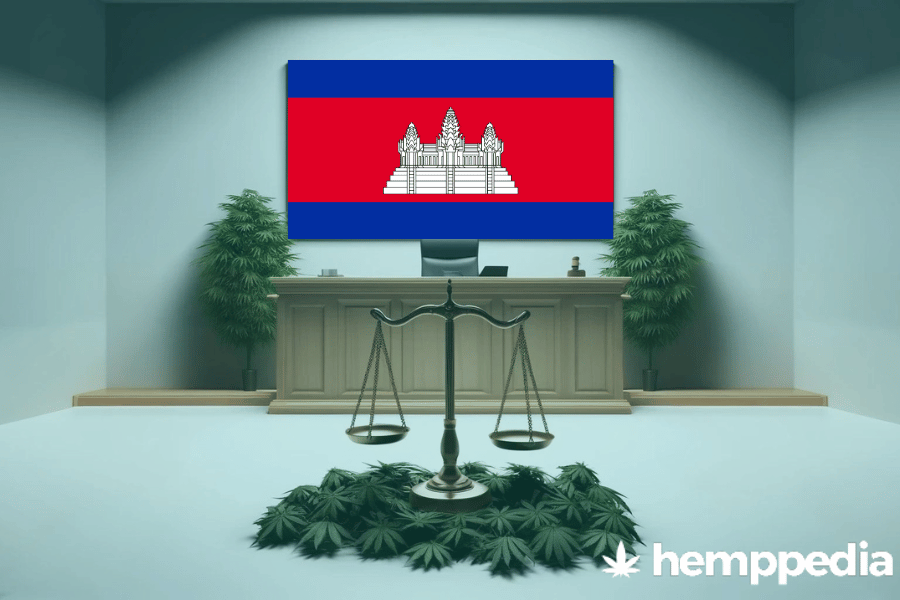 Is CBD legal in Cambodia? – Update 2024