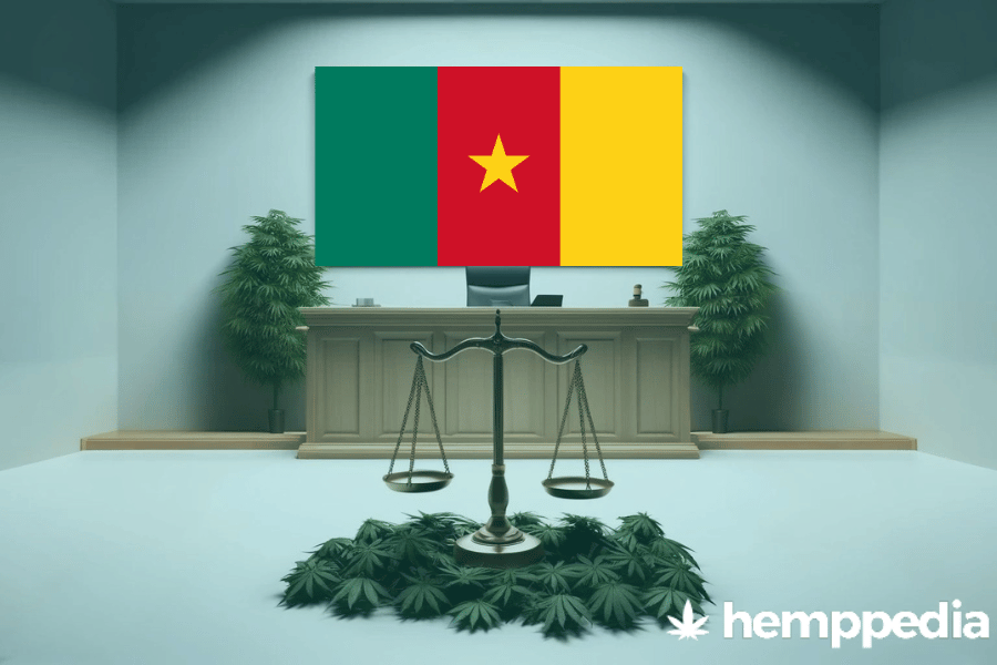 Is Cannabis legal in Cameroon? – Update 2024