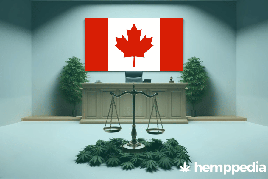 Is CBD legal in Canada? – Update 2024