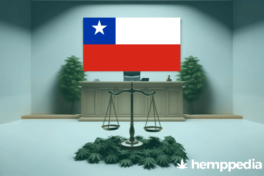 Is CBD legal in Chile? – Update 2024