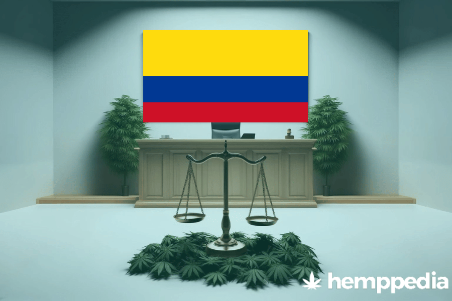 Is CBD legal in Colombia? – Update 2024