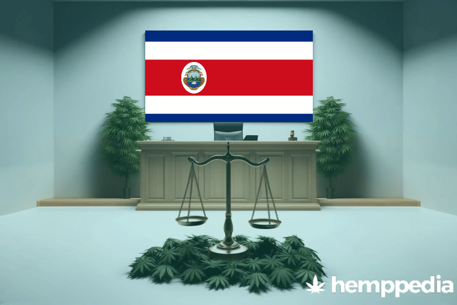 Is Cannabis legal in Costa Rica? – Update 2024