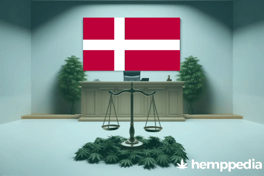 Is Cannabis legal in Denmark? – Update 2024