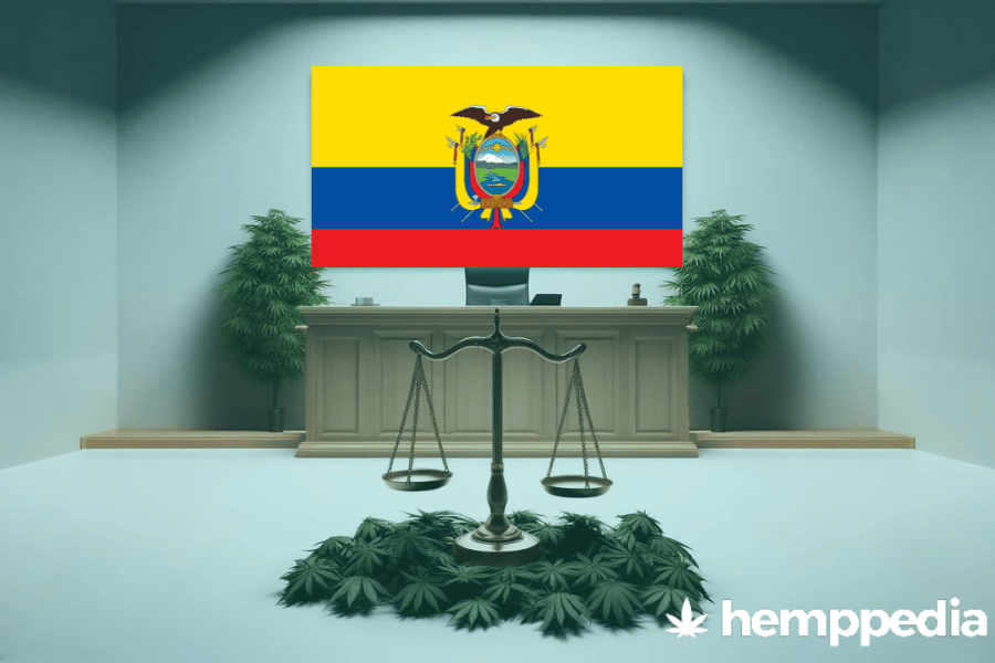 Is Cannabis legal in Ecuador? – Update 2024