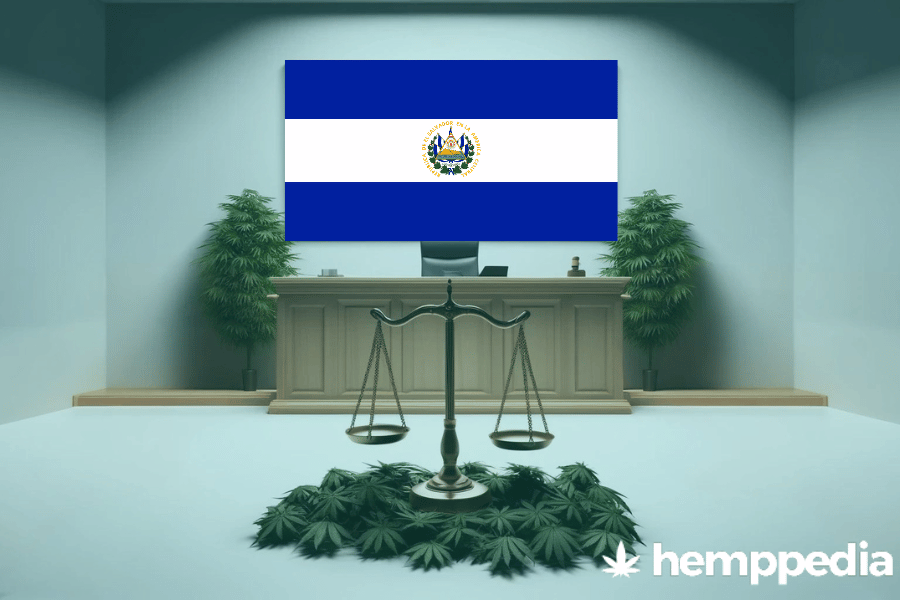 Is Cannabis legal in El Salvador? – Update 2024