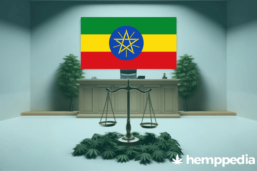 Is Cannabis legal in Ethiopia? – Update 2024