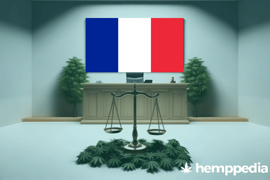 Is CBD legal in France? – Update 2024