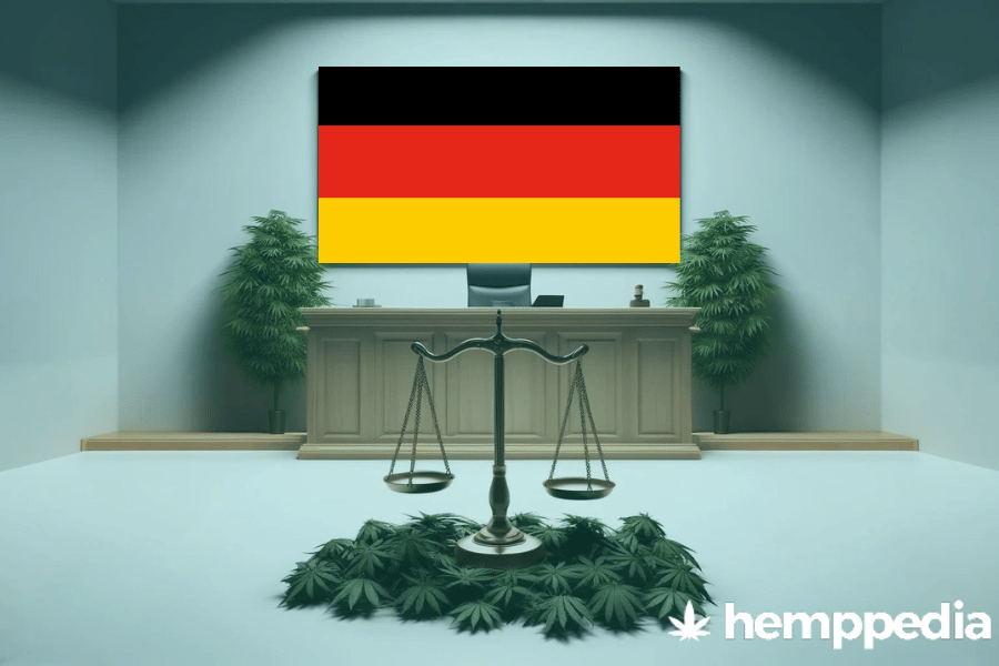 Is Cannabis legal in Germany? – Update 2024