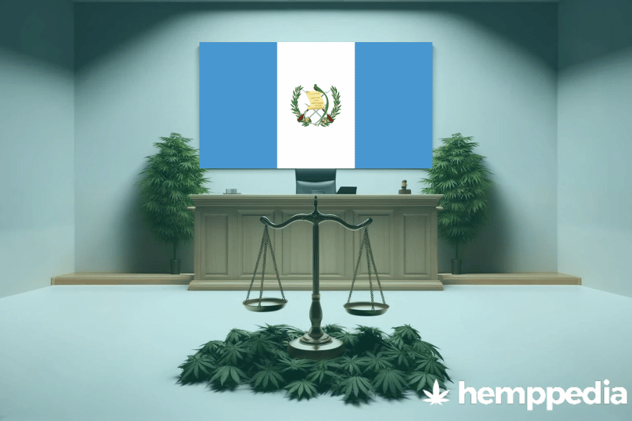 Is Cannabis legal in Guatemala? – Update 2024