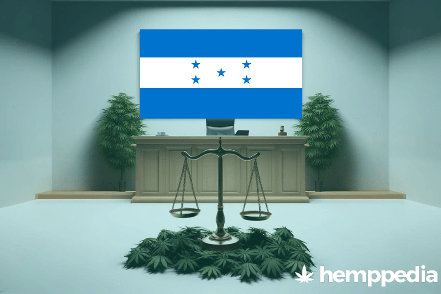 Is Cannabis legal in Honduras? – Update 2024