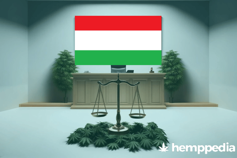 Is Cannabis legal in Hungary? – Update 2024