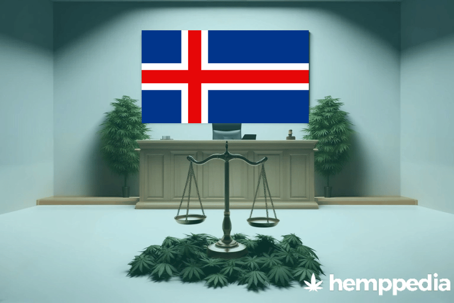 Is Cannabis legal in Iceland? – Update 2024