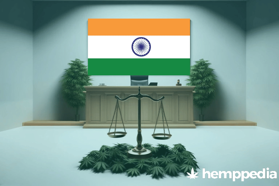 Is CBD legal in India? – Update 2024