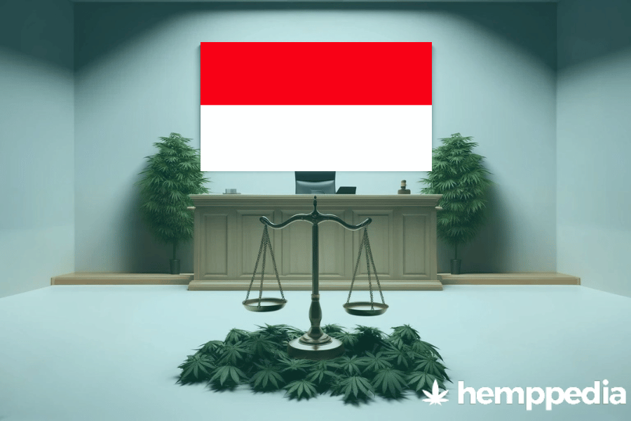 Is Cannabis legal in Indonesia? – Update 2024