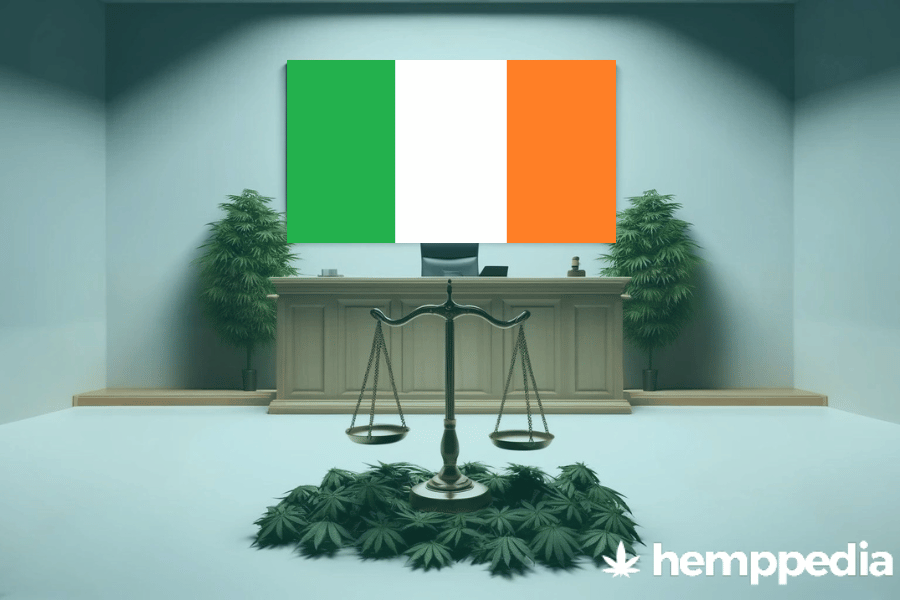 Is Cannabis legal in Ireland? – Update 2024