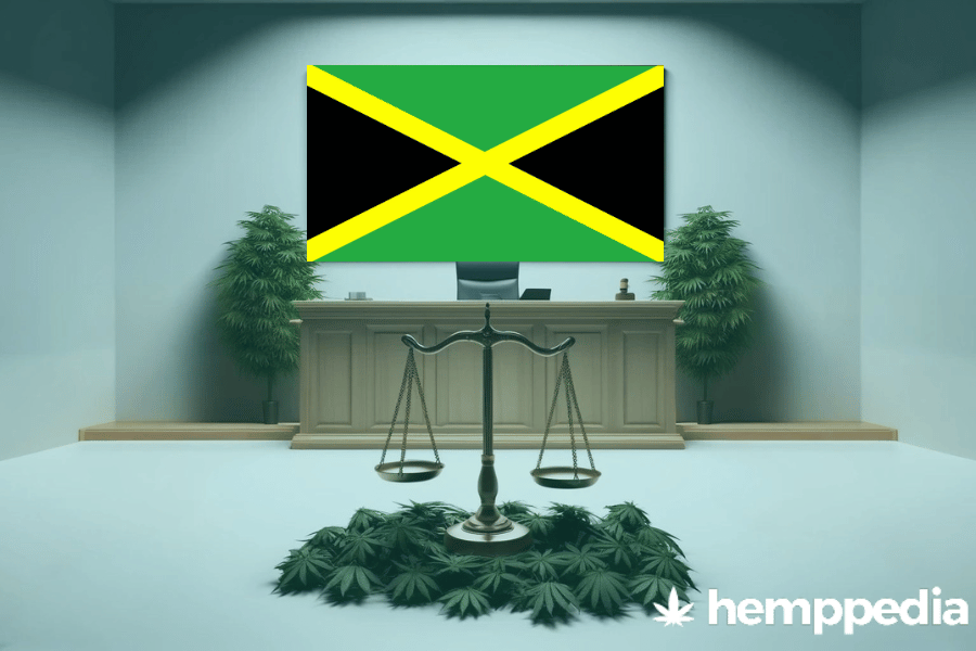 Is Cannabis legal in Jamaica? – Update 2024