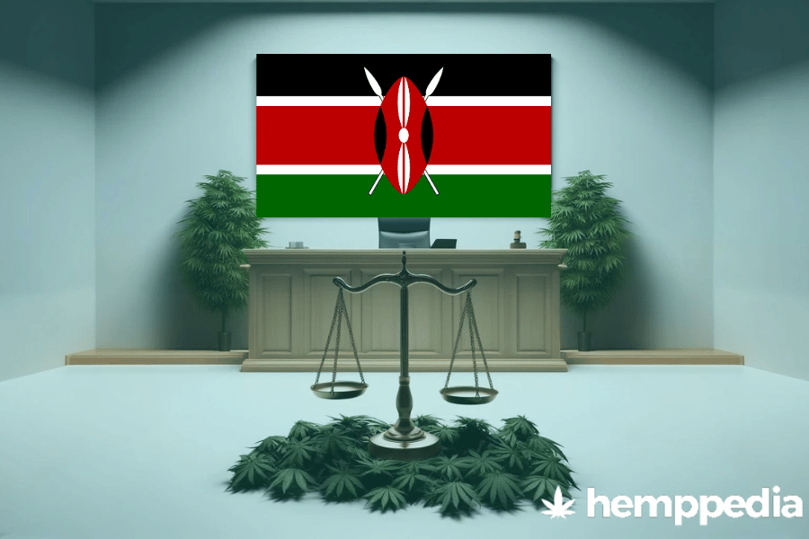 Is Cannabis legal in Kenya? – Update 2024