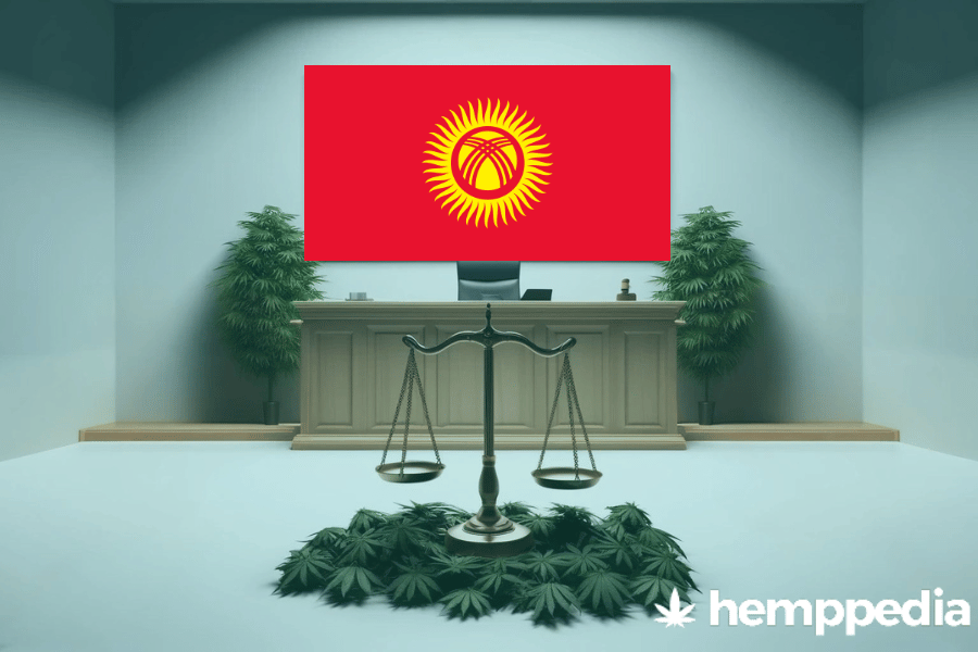 Is CBD legal in Kyrgyzstan? – Update 2024