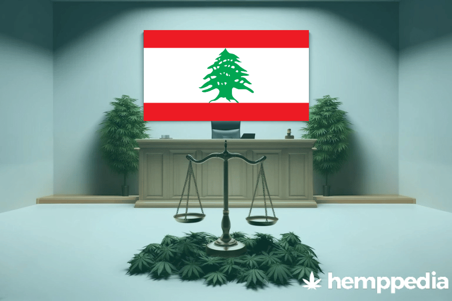 Is CBD legal in Lebanon? – Update 2024