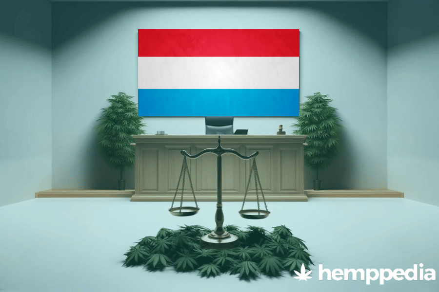 Is Cannabis legal in Luxembourg? – Update 2024