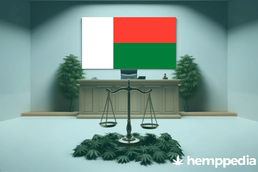 Is Cannabis legal in Madagascar? – Update 2024