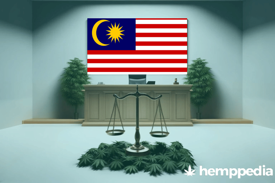 Is Cannabis legal in Malaysia? – Update 2024