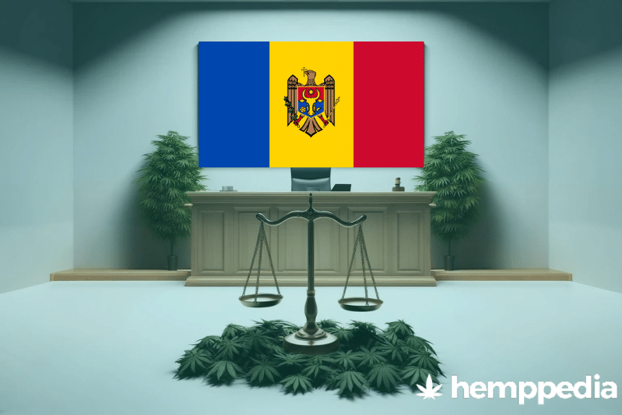 Is Cannabis legal in Moldova? – Update 2024