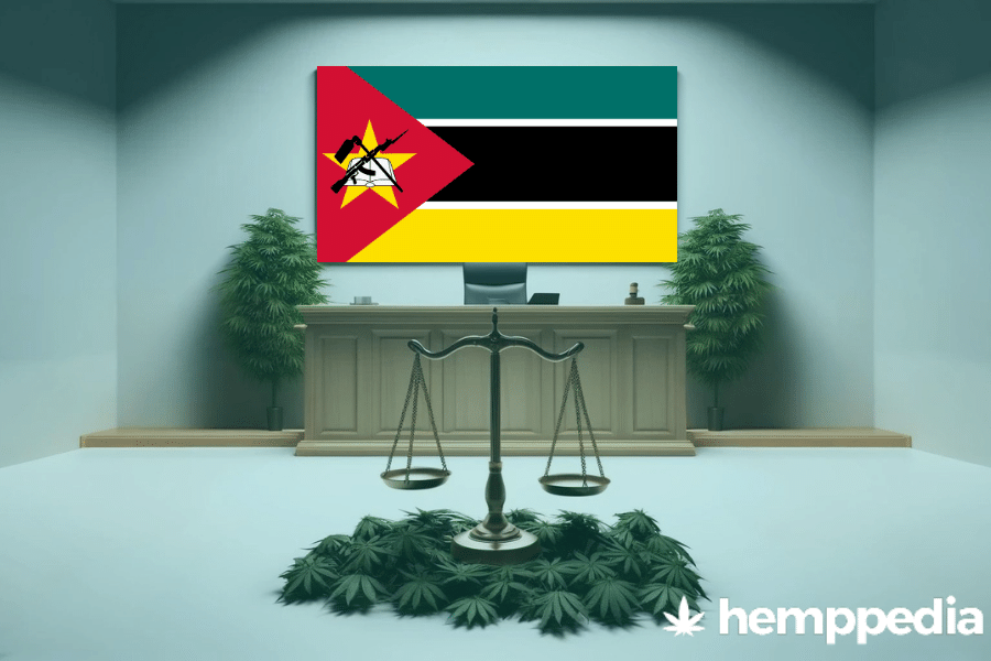 Is Cannabis legal in Mozambique? – Update 2024