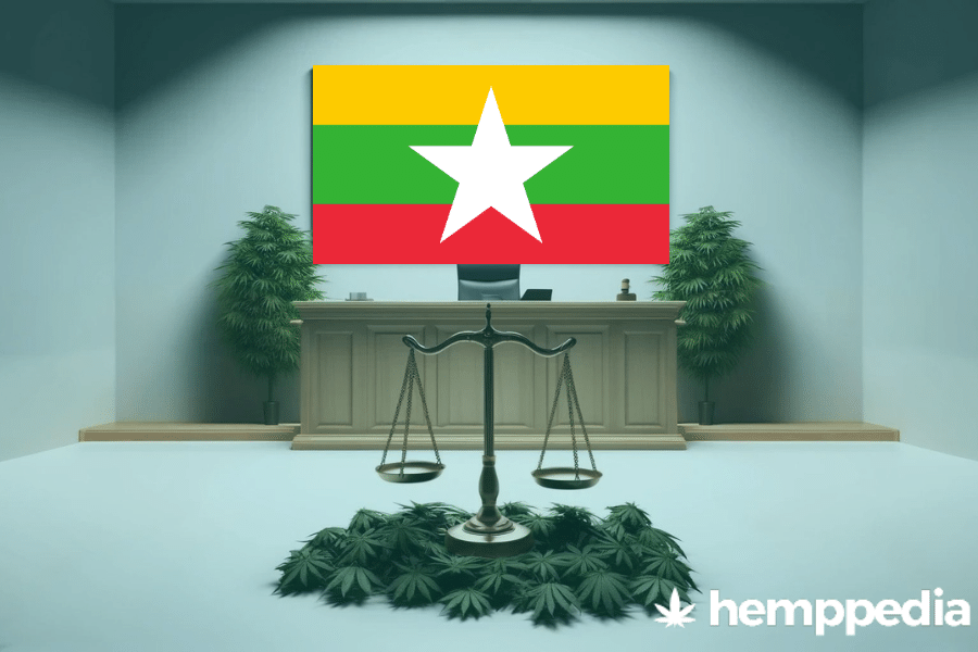 Is Cannabis legal in Myanmar? – Update 2024