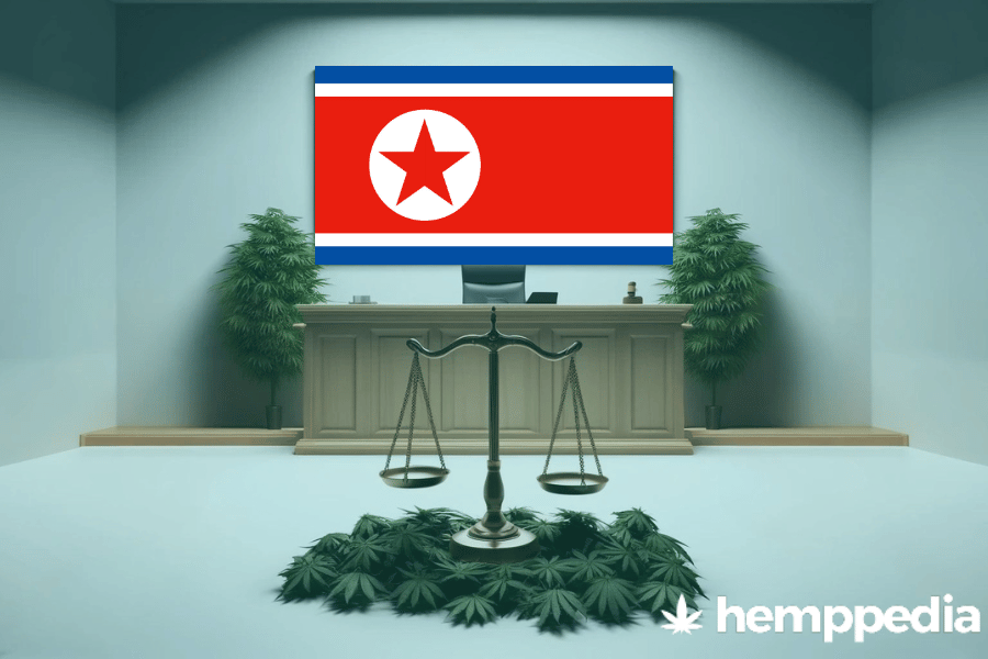 Is Cannabis legal in North Korea? – Update 2024